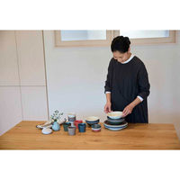 丸利玉樹利喜蔵商店 プレート 23cm L AirStack エアスタック 磁器 美濃焼 ラインブルー 423220 1個（直送品）