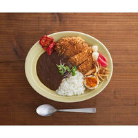 逸品社 カレー皿 スプーンセット 25cm 逸品窯 陶磁器 イエロー 436538 1個（直送品）