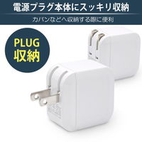 日本トラストテクノロジー CUBE USB充電器 2P 12W ホワイト CUBEUSB2P12W-WH 1個