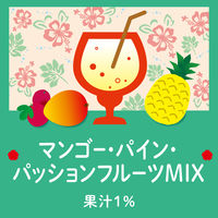 伊藤園 不二家 南国フルーツスカッシュ 500ml ペットボトル 1箱（24本入）