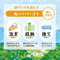 ヤシノミ洗剤 食器用洗剤 無香料・無着色 詰め替え用 超特大 1.9L 紙パック 1個 サラヤ