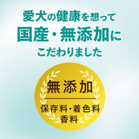 チューデント 超長持ち歯みがきガム ご褒美チキン風味 M～L 国産 5本入 3袋 犬用 おやつ 歯磨き Hartz（ハーツ）