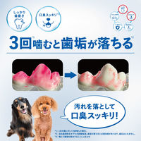チューデント 歯みがき専用ガム オールインワン やわらか S～M 国産 約20本入 70g 3袋 犬 おやつ 歯磨き Hartz（ハーツ）