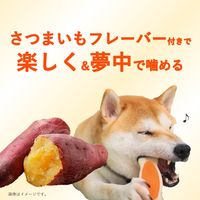 チューデント 歯みがきおもちゃ ボーン S さつまいもフレーバー 3個 犬 おもちゃ デンタルケア Hartz（ハーツ）