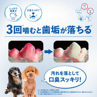 チューデント 歯みがき専用ガム オールインワン SS 国産 約28本入 (65g) 3袋 犬 おやつ 歯磨き Hartz（ハーツ）