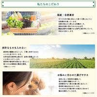 ペットの恵み365 うまみペースト おなかの健康をサポート 国産（10gx4本）1セット（1袋×3）新東亜交易 ドッグフード