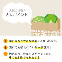 紙製ストッカー Lサイズ スイカ柄 1セット（1袋（5枚入）×3）ネクスタ