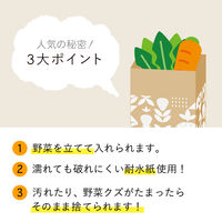 紙製ストッカー Sサイズ イチゴ柄 1セット（1袋（10枚入）×3）ネクスタ