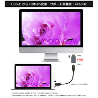 Vodaview USBーC to HDMI 変換アダプター4K60Hz ケーブル取付型 VV-UCFHDM-UH-SV 1本