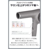ドライヤー プロテクトイオン 大風速 冷温風 速乾 コード長1.7m スモーキーグレー NIB500B-H/E テスコム 1個（直送品）