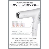 ドライヤー プロテクトイオン 大風速 冷温風 速乾 コード長1.7m ホワイトアッシュ NIB500B-W/E テスコム 1個（直送品）
