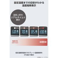 ヘアアイロン ストレートアイロン 15mm 自動OFF 海外対応  スモーキーグレー NIS300A-H/E テスコム 1個（直送品）