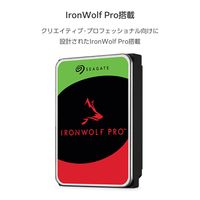 LaCie 外付け HDD 24TB 1big Dock Thunderbolt 3  STHS24000800 ラシー 1個（直送品）