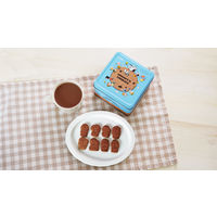 クッキー ビスケット スヌーピー エンボス缶 チョコチップ 70g 1セット（1個×3） 北陸製菓