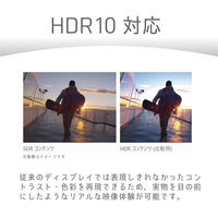 PHILIPS 液晶ディスプレイ 31.5型/3840×2160 32E1N1800LA/11 1台