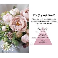 グランセンスインセンススティック アンティークローズ 20g（約30本入） 1セット（1箱×2） グローバルプロダクトプランニング