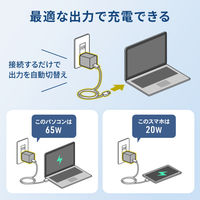 サンワサプライ USB PD対応キューブ型AC充電器(PD65W) ACA-PD105BK 1個