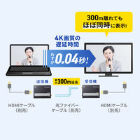 サンワサプライ 光ファイバHDMIエクステンダー(4K対応・300m延長) VGA-EXHDFB 1個