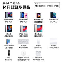 サンワサプライ USB TypeーC to Lightning変換アダプタ(MFi認証) AD-USB30LCFW 1個