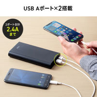 サンワサプライ USB PD対応モバイルバッテリー(19800mAh・PD60W) BTL-RDC37 1個