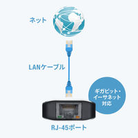 サンワサプライ 8K対応 USB TypeーC ドッキングステーション USB-DKM9S 1個