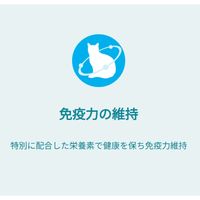 （数量限定） ピュリナワン 猫 水分補給セット 健康寿命 11歳以上 チキン＆フィッシュ 50g 12袋＋ おやつ消化 14g 4本 1袋 ネスレ日本