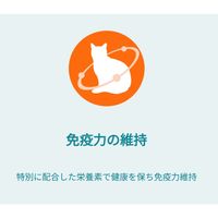 （数量限定） ピュリナワン 猫 水分補給セット 尿路の健康維持 1歳以上 チキン 50g 12袋 ＋ おやつ免疫ケア 14g 4本 1袋 ネスレ日本