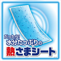 熱さまシート 大人用 小林製薬 1セット(80枚：16枚入×5箱) 冷却シート 発熱 冷却用品 保冷 ひんやりグッズ