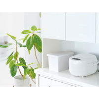 S 密閉米びつ 6kg ホワイト A7513WH 1個 アスベル