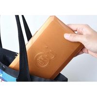 Plapper(プラッパー) 超抗菌 マスクケース F-01P 第一精工舎 1パック（直送品）