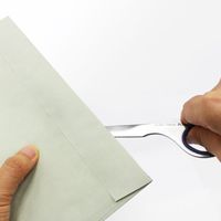 プラス ステンレスペーパーナイフ ブルー SC-165PK 1本