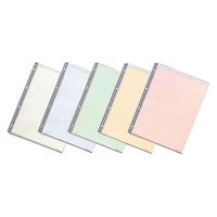 リヒトラブ クリヤーポケット N-2006 A4S 10枚 グレー N-2006グ 1パック（直送品）