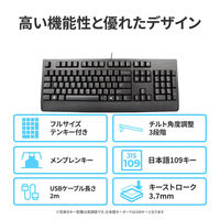 Lenovo プリファードプロ II USBキーボード ー 日本語 4X30M86901 1台（直送品）