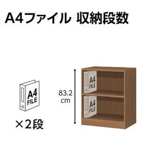 大洋 Shelfit 鍵付き 収納庫 幅498×奥行315×高さ832mm OFS8350D30 WB+2段扉幅木 1台（直送品）