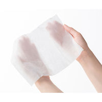 あんしん Ｇｅｎｋｉ! おしりふき 厚手 1パック（100枚入）アイリスオーヤマ