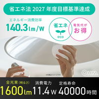 オーム電機 LED電球 E26 100形相当 昼白色 LDA11NGAG59 1個
