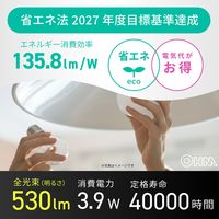 オーム電機 LED電球小形 E17 40形相当 昼光色 LDA4DGE17IS53 1個