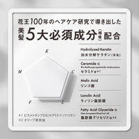 THE ANSWER（ジアンサー）コンプリートラメラミルク 70g 花王