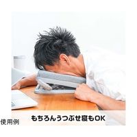 サンコー デスクdeお昼寝まくら PRCUFACGY 1個 67-9274-30（直送品）