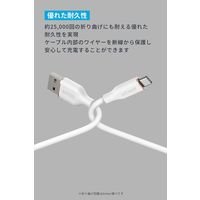 アンカー・ジャパン株式会社 Anker USBーC & USBーA ケーブル (Flow) 1.8m A85G1N22 1本
