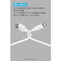 アンカー・ジャパン株式会社 Anker USBーC & USBーA ケーブル (Flow) 0.9m A85G1N21 1本