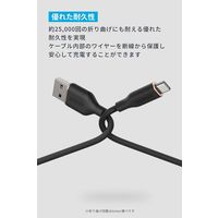 アンカー・ジャパン株式会社 Anker USBーC & USBーA ケーブル (Flow) 1.8m A85G1N12 1本