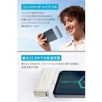アンカー・ジャパン株式会社 Anker Nano Power Bank A1653N21 1個