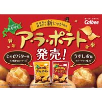 ポテトチップス スナック菓子 ア・ラ・ポテト じゃがバター味　64g 1セット（1個×12）