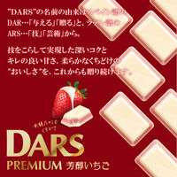 チョコレート ダース　プレミアム　芳醇いちご　12粒入 1セット（1個×10）