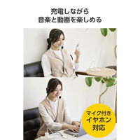 USB-C変換アダプタ 100W PD急速充電 4K映像 (C to C×2) 白 ECAD-C2CPD100WH エレコム 1個（直送品）