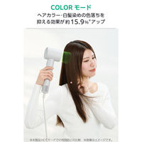 理美容器具 ハンドドライヤー マイナスイオン ディフューザー付 ベージュTD863A-C テスコム 1個（直送品）