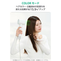 理美容器具 ハンドドライヤー マイナスイオン ディフューザー付 ホワイトTD863A-W テスコム 1個（直送品）