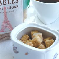 大東製糖 ペブルス・ブラウンシュガー 1袋（160g）