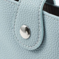 エルシオン イルムス スマホポシェット 25-6374-660 1箱（直送品）